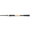 Shimano Expride B Casting Rods