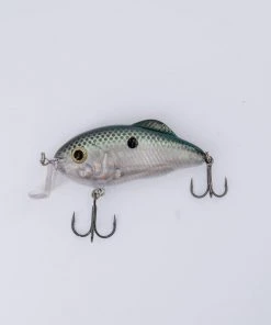 Strike King Crankbaits Hybrid Hunter Jr.