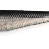 Tackle Inc Swimbaits Skinny Bear Swimming Shad Eye 5" (4 PK) 1 Tackle Inc Swimbaits Skinny Bear Swimming Shad Eye 5" (4 PK)