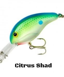 Bandit 300 Series Crankbait
