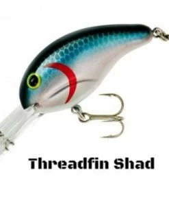 Bandit 300 Series Crankbait