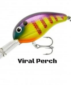 Bandit 300 Series Crankbait