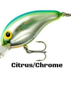 Bandit 200 Series Crankbaits 39 Bandit 200 Series Crankbaits