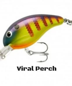 Bandit 200 Series Crankbaits 55 Bandit 200 Series Crankbaits