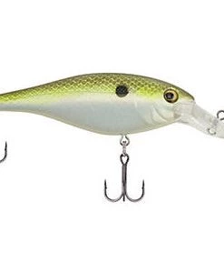 Berkley Bad Shad Crankbait Crankbaits 20 Berkley Bad Shad Crankbait Crankbaits