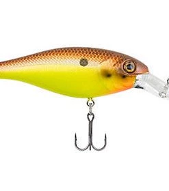 Berkley Bad Shad Crankbait Crankbaits 15 Berkley Bad Shad Crankbait Crankbaits