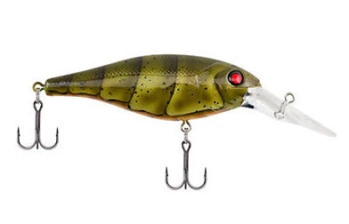 Berkley Bad Shad Crankbait Crankbaits 7 Berkley Bad Shad Crankbait Crankbaits