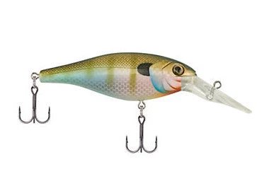 Berkley Bad Shad Crankbait Crankbaits 8 Berkley Bad Shad Crankbait Crankbaits