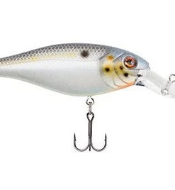 Berkley Bad Shad Crankbait Crankbaits 22 Berkley Bad Shad Crankbait Crankbaits