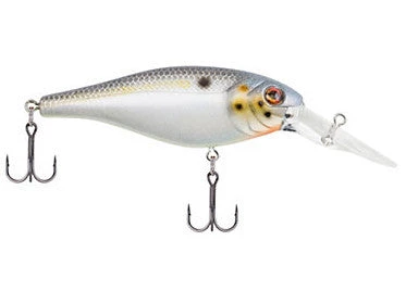 Berkley Bad Shad Crankbait Crankbaits 12 Berkley Bad Shad Crankbait Crankbaits