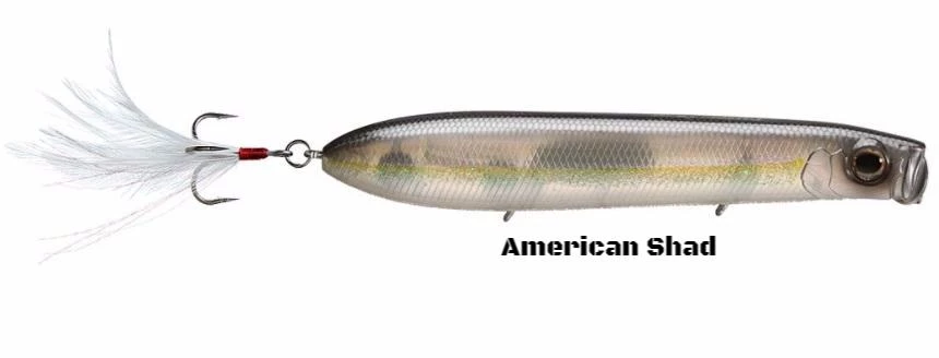 Evergreen Shower Blow SB Topwater Plug 3 Evergreen Shower Blow SB Topwater Plug