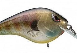 Spro Russ Lane Fat Papa Squarebill