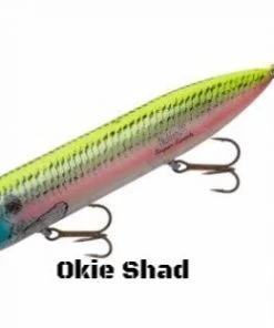Heddon Super Spook