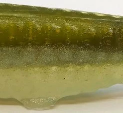 7FIFTEEN BAITS (2 PACK) Soft Swimbaits