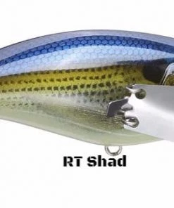 Jackall Pompadour Jr Topwater 16 Jackall Pompadour Jr Topwater