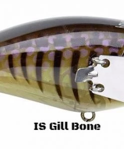 Jackall Pompadour Jr Topwater 14 Jackall Pompadour Jr Topwater