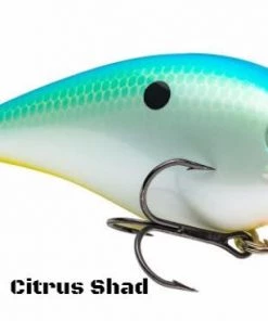 Strike King KVD Magnum 4.0 Squarebill