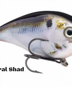 Strike King KVD Magnum 4.0 Squarebill