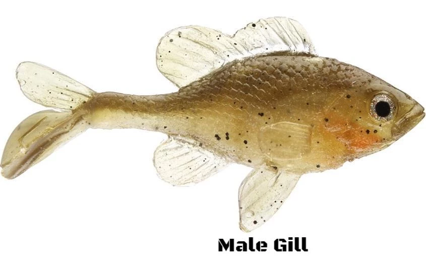 Little Creeper Baits Little Creeper All American Sunfish 2pk 4 Little Creeper Baits Little Creeper All American Sunfish 2pk