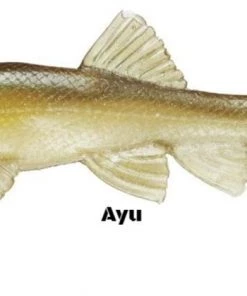 Little Creeper Baits Little Creeper 6