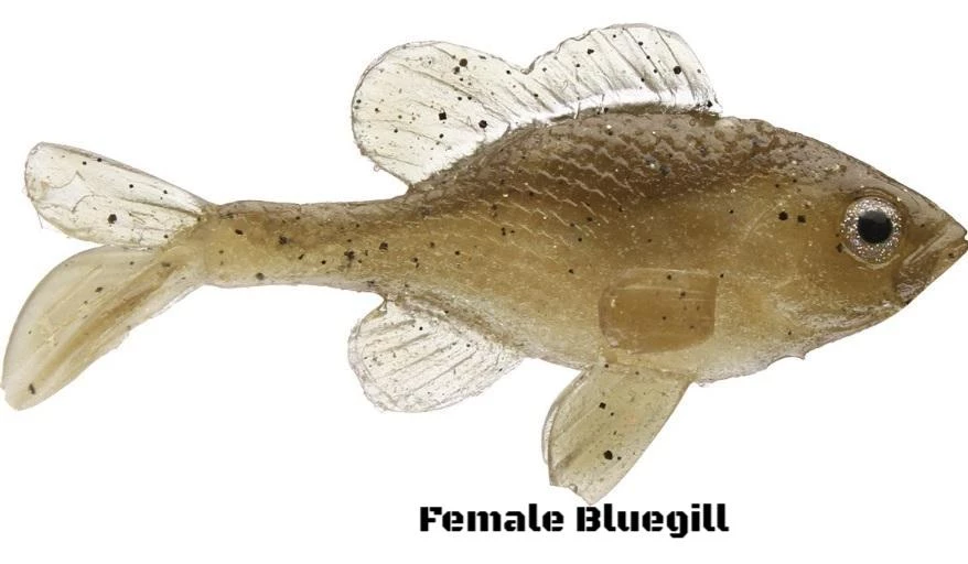 Little Creeper Baits Little Creeper All American Sunfish 2pk 6 Little Creeper Baits Little Creeper All American Sunfish 2pk