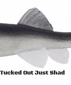 Little Creeper Baits Little Creeper 6