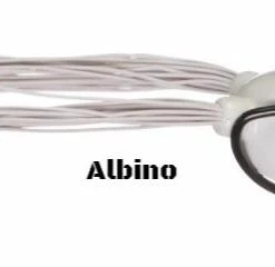 Spro Dean Rojas Bronzeye Poppin Frog 60