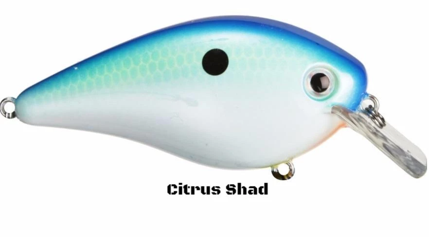 Strike King HC KVD 1.5 Squarebill Crankbait 14 Strike King HC KVD 1.5 Squarebill Crankbait