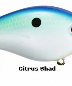 Strike King HC KVD 2.5 Squarebill Crankbait (Silent) Crankbaits