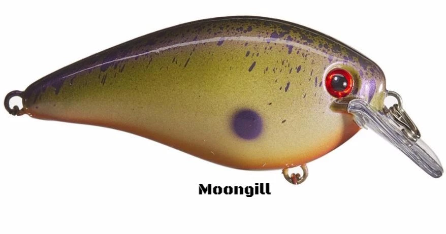 Strike King HC KVD 1.5 Squarebill Crankbait 25 Strike King HC KVD 1.5 Squarebill Crankbait