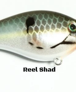 Strike King HC KVD 1.5 Squarebill Crankbait 99 Strike King HC KVD 1.5 Squarebill Crankbait