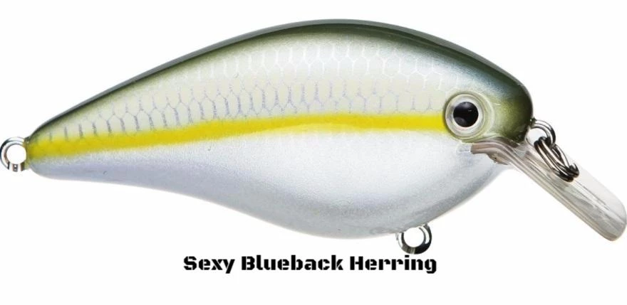 Strike King HC KVD 1.5 Squarebill Crankbait 34 Strike King HC KVD 1.5 Squarebill Crankbait