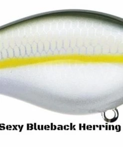 Strike King HC KVD 2.5 Squarebill Crankbait (Silent) Crankbaits