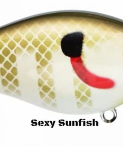 Strike King HC KVD 2.5 Squarebill Crankbait (Silent) Crankbaits