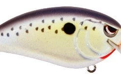 Crankbaits Spro John Crews Fat John 60