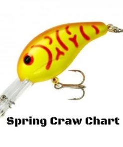 Bandit 300 Series Crankbait