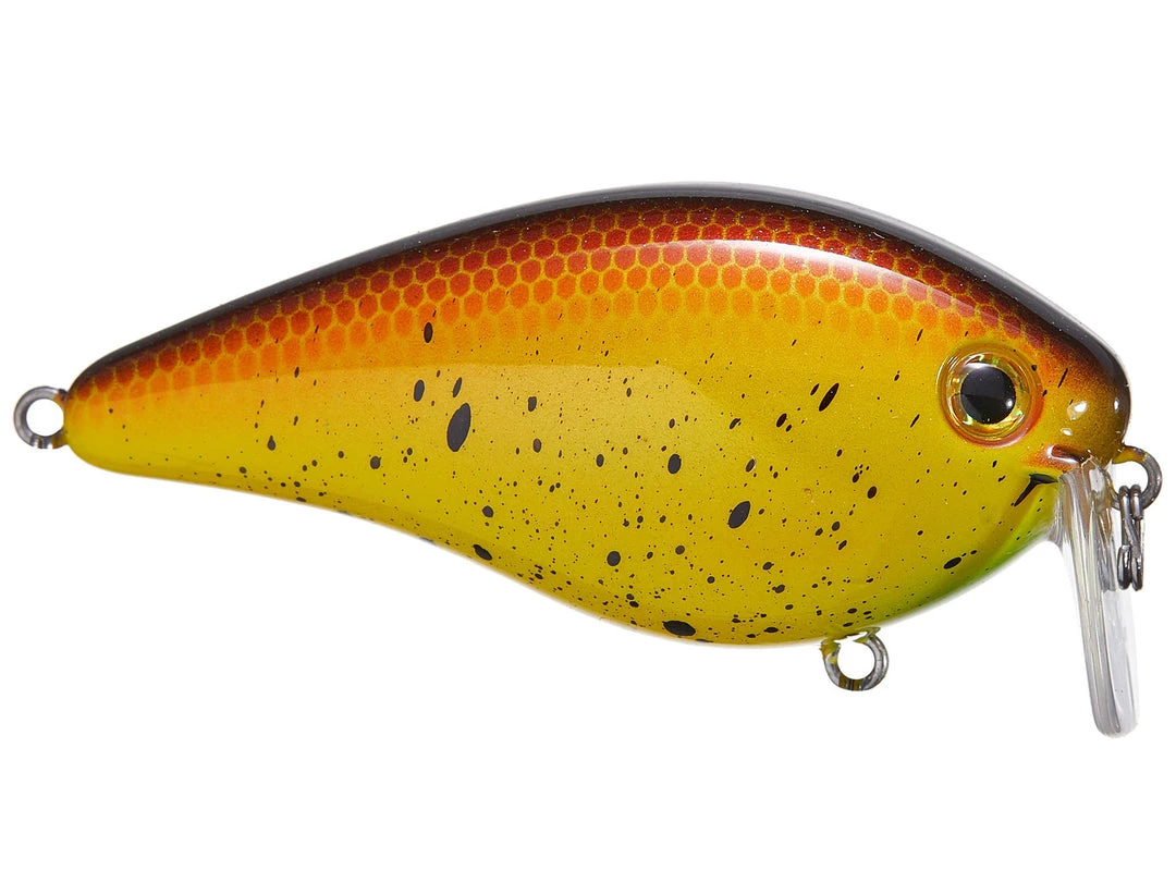 Strike King KVD 2.5 Wake Bait Wakebaits 5 Strike King KVD 2.5 Wake Bait Wakebaits