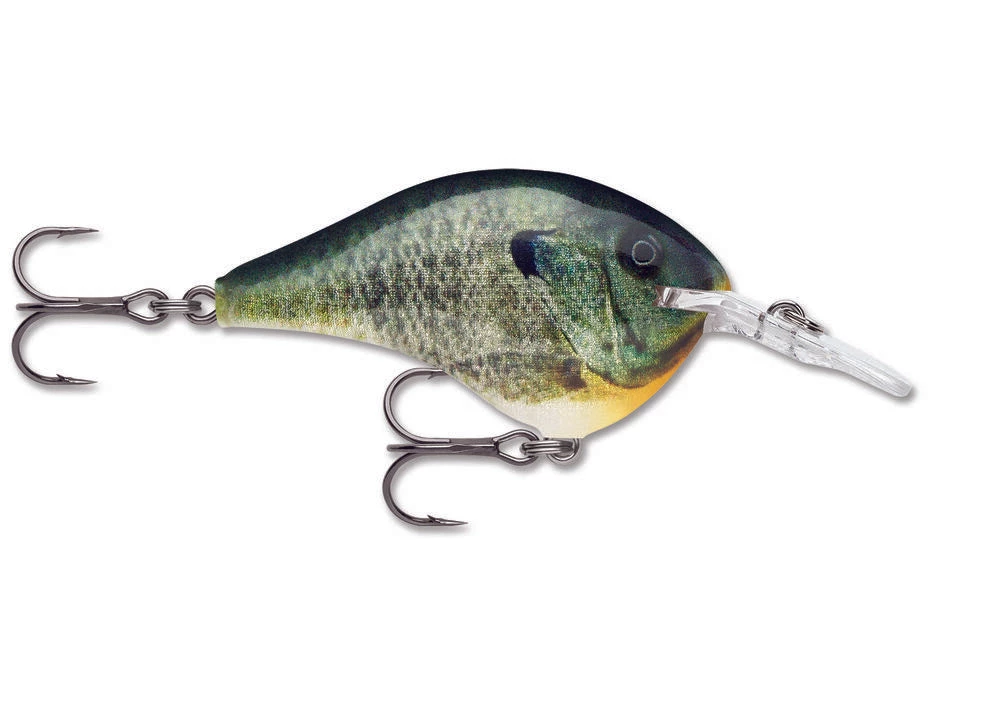 Crankbaits Rapala DT 6 4 Crankbaits Rapala DT 6