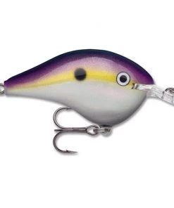 Rapala DT 14 Crankbaits