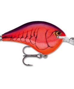 Rapala DT 14 Crankbaits