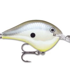 Crankbaits Rapala DT 6 36 Crankbaits Rapala DT 6