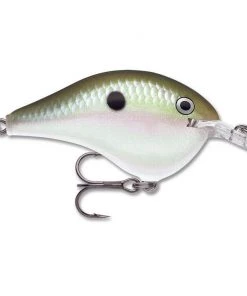Crankbaits Rapala DT 6 43 Crankbaits Rapala DT 6