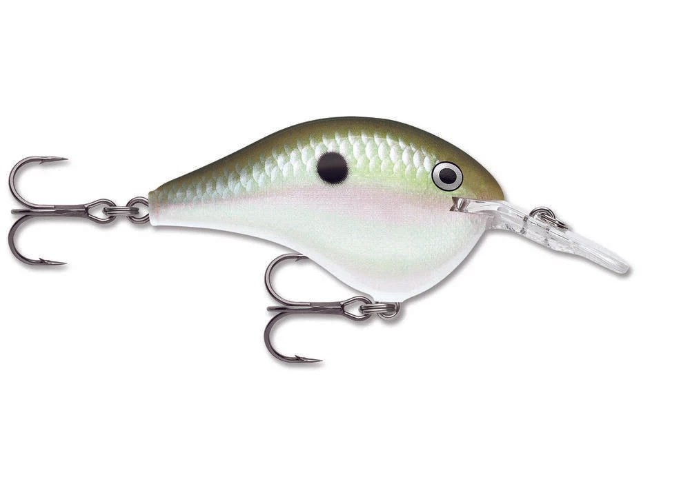 Crankbaits Rapala DT 6 20 Crankbaits Rapala DT 6