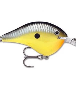 Rapala DT 14 Crankbaits