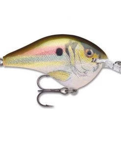 Crankbaits Rapala DT 6 42 Crankbaits Rapala DT 6