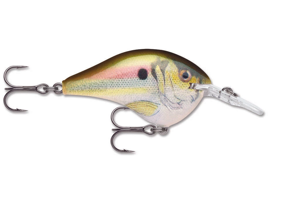 Crankbaits Rapala DT 6 19 Crankbaits Rapala DT 6