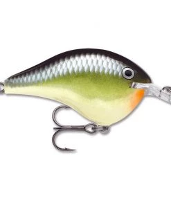 Rapala DT 14 Crankbaits