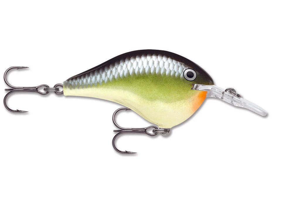 Crankbaits Rapala DT 6 24 Crankbaits Rapala DT 6