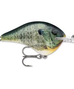 Crankbaits Rapala DT 8