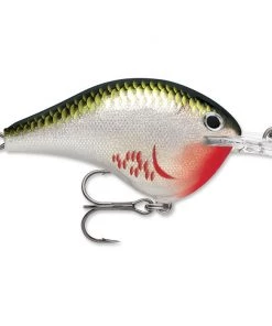 Crankbaits Rapala DT 8